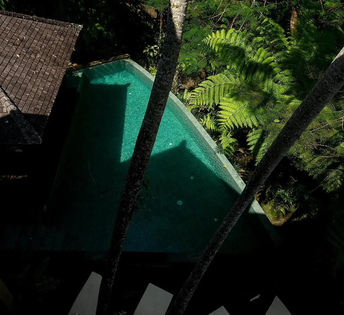 Villa Naga Putih Ubud  Indonesia