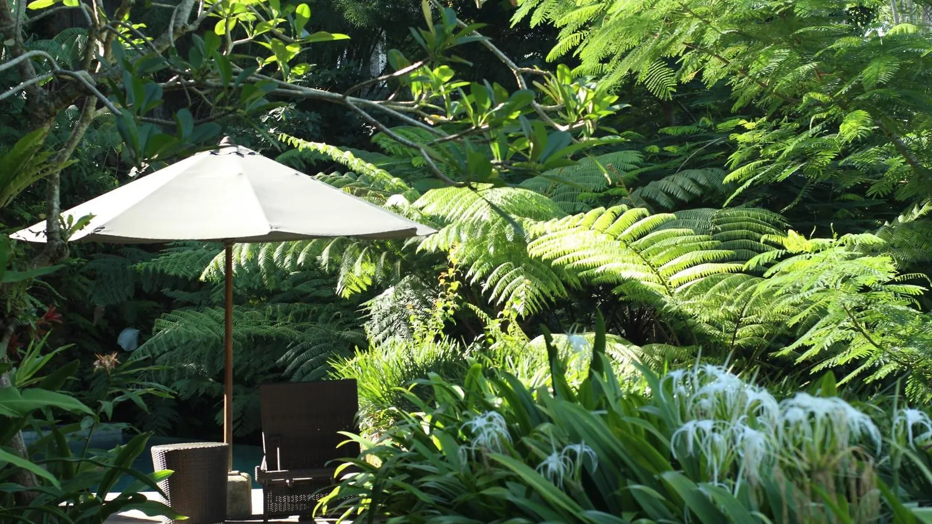 Villa Naga Putih Ubud   Ubud (Bali)
