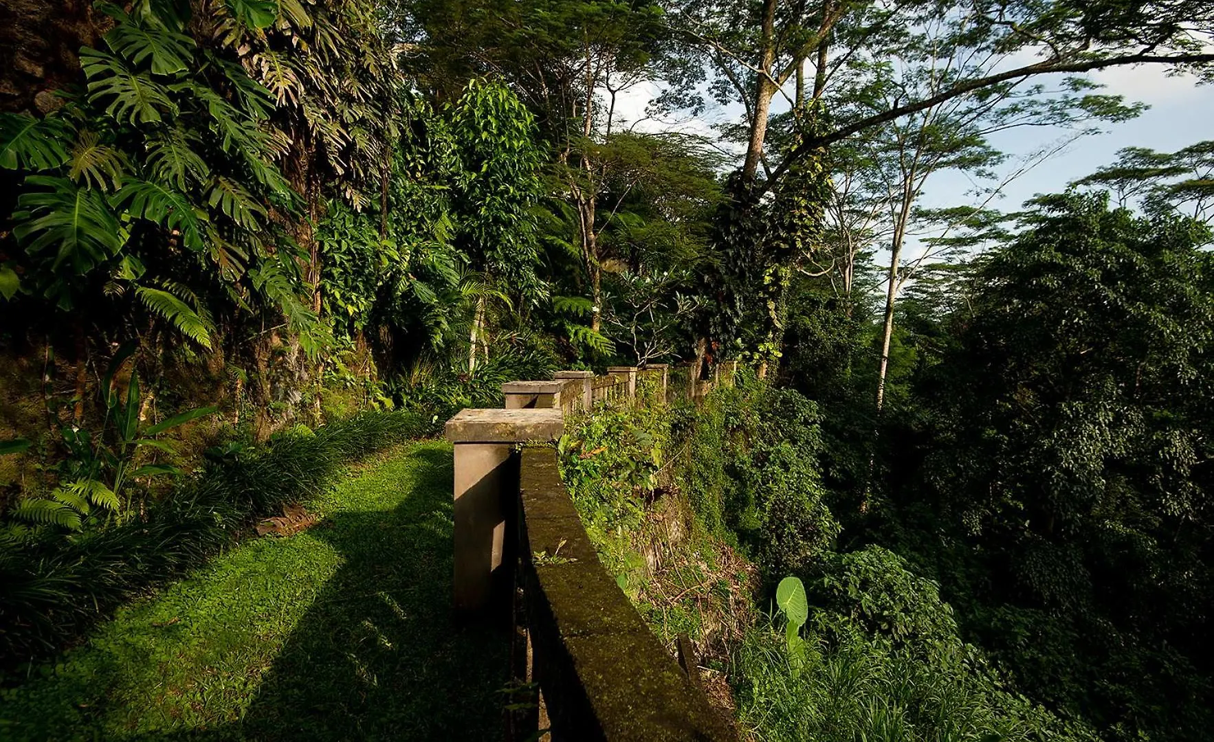 Villa Naga Putih Ubud