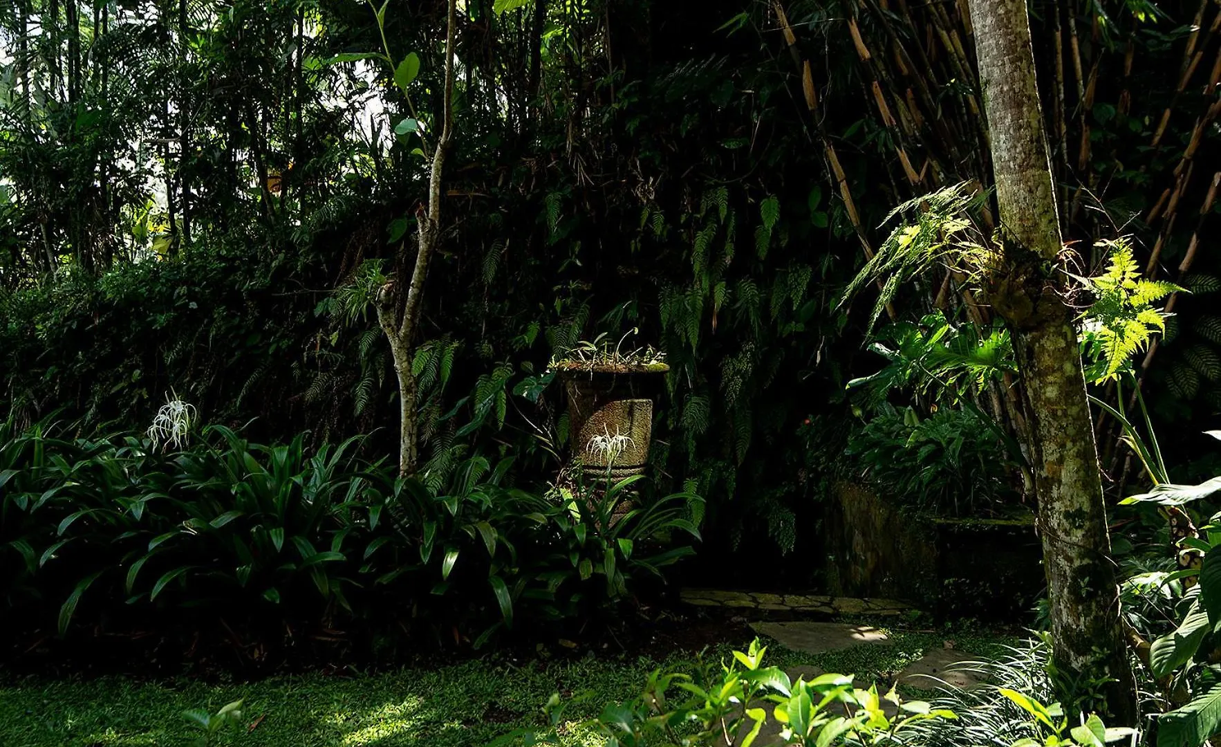 Villa Naga Putih Ubud  Indonesia