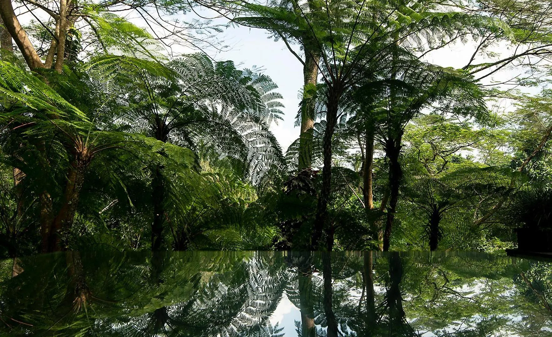 Villa Naga Putih Ubud  Ubud (Bali)