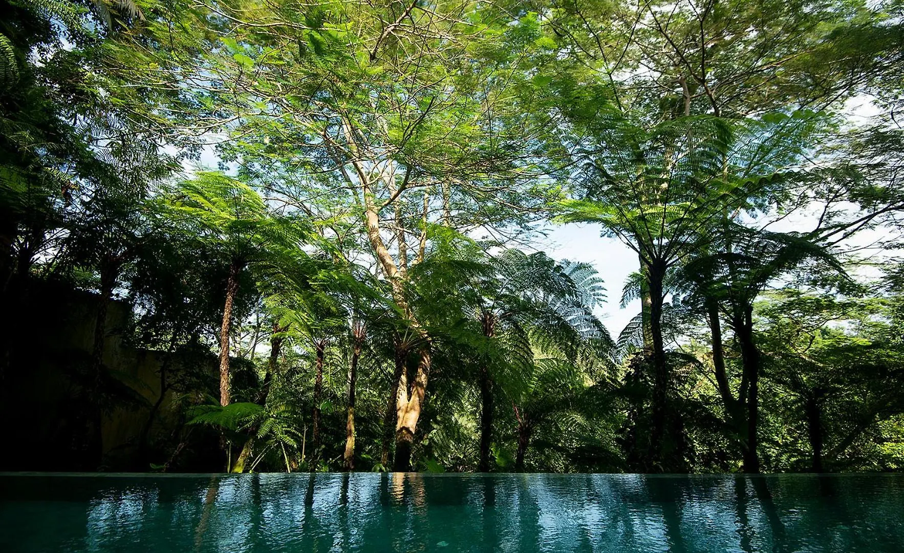 Villa Naga Putih Ubud